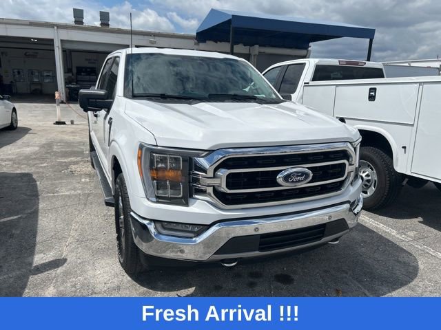 Used 2021 Ford F150 XLT w/ Equipment Group 302A High AWD/4WD image 6