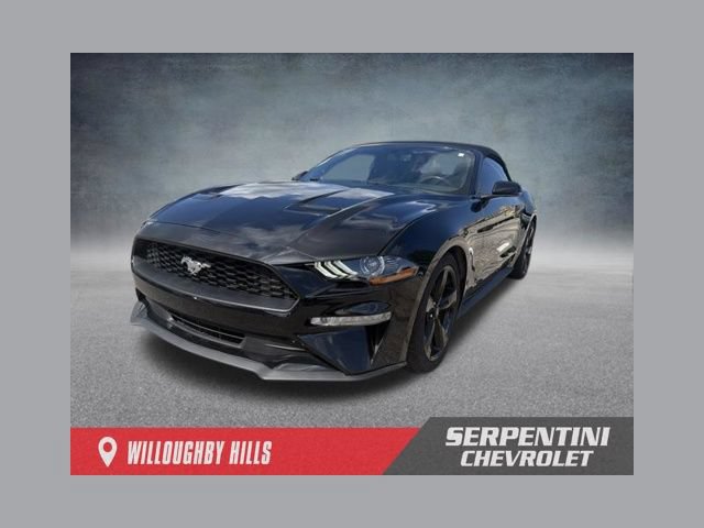Used 2019 Ford Mustang Premium RWD image 1