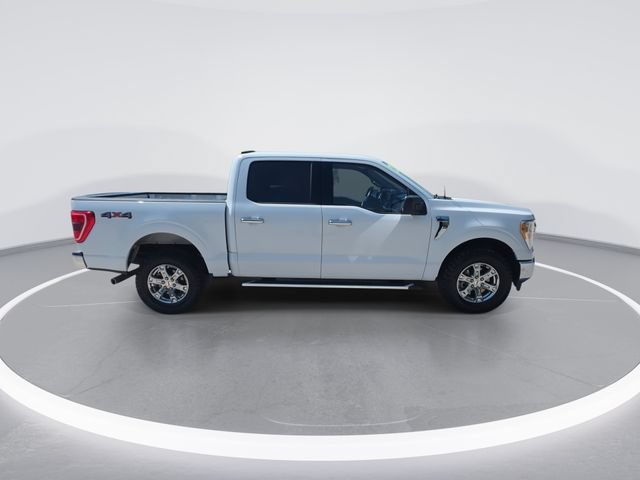 Used 2023 Ford F150 XLT w/ Equipment Group 301A Mid AWD/4WD image 9