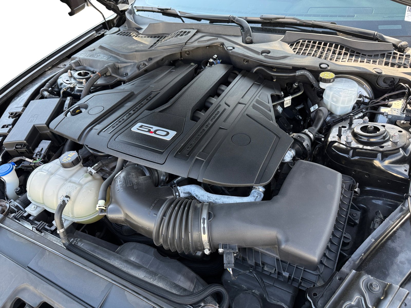 Used 2021 Ford Mustang GT w/ Equipment Group 301A image 12