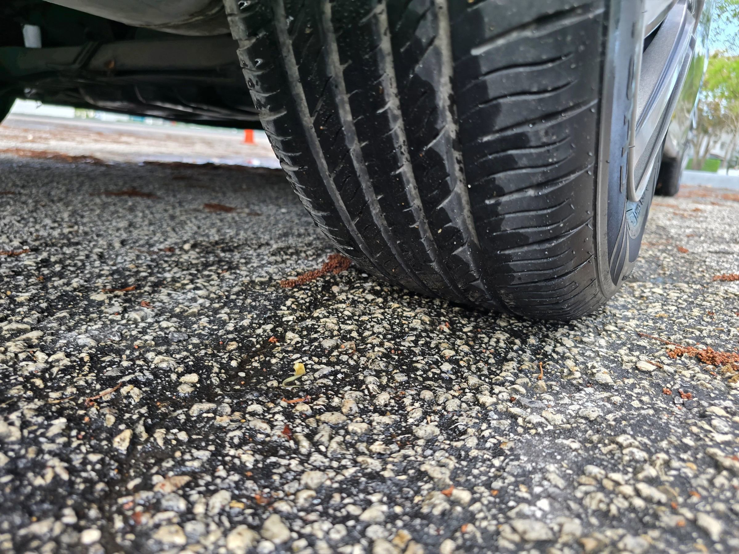 Used 2017 Hyundai Elantra SE image 25