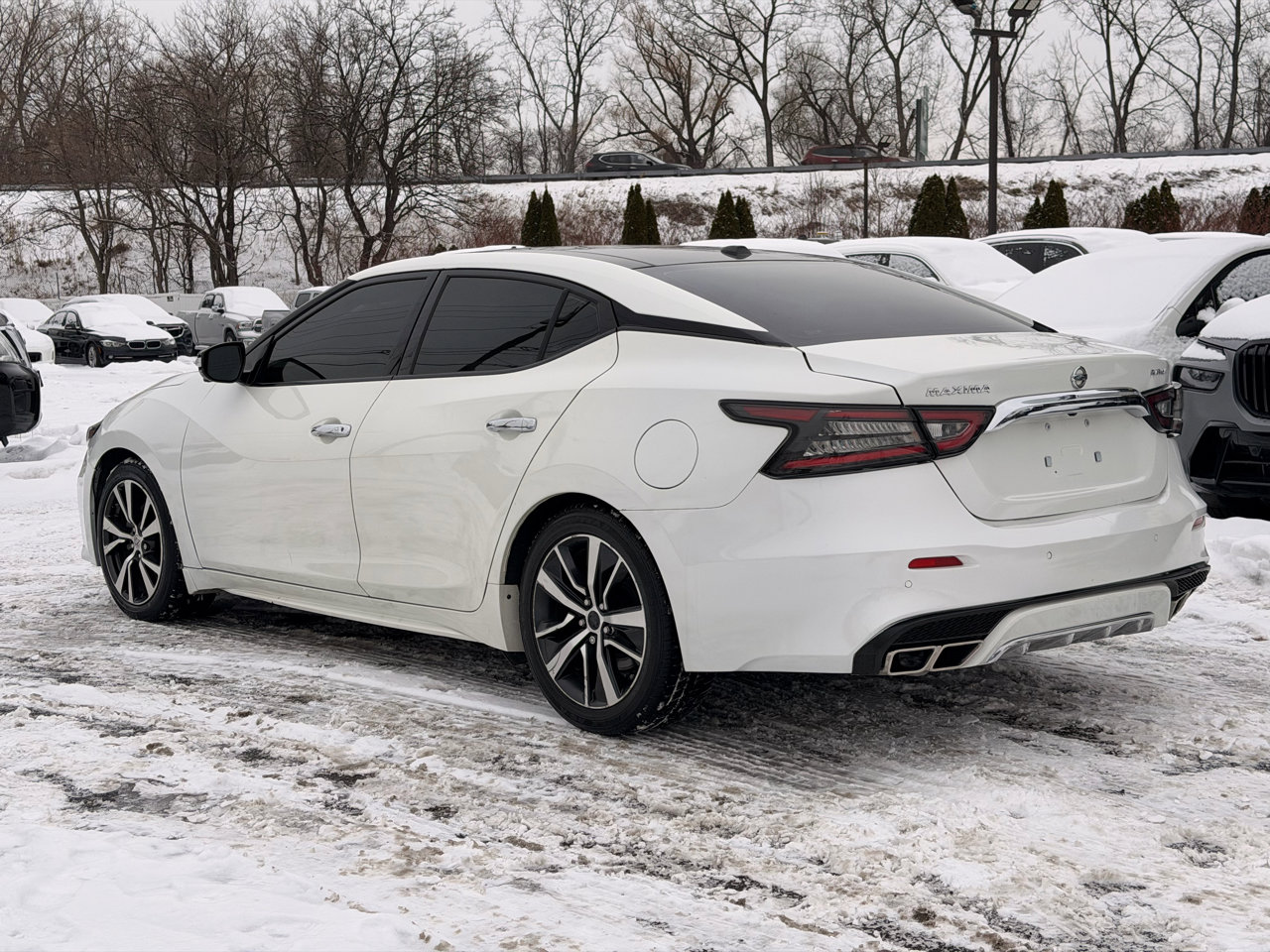 Used 2023 Nissan Maxima Platinum w/ Sport Mat Group image 7