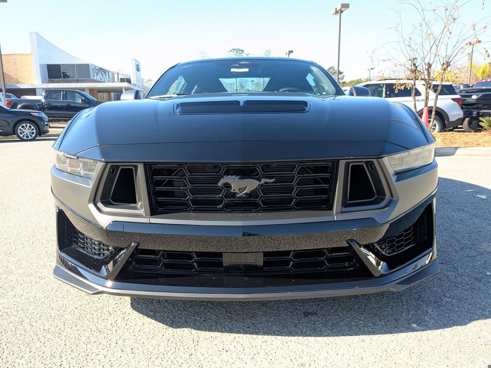 New 2025 Ford Mustang Dark Horse image 9