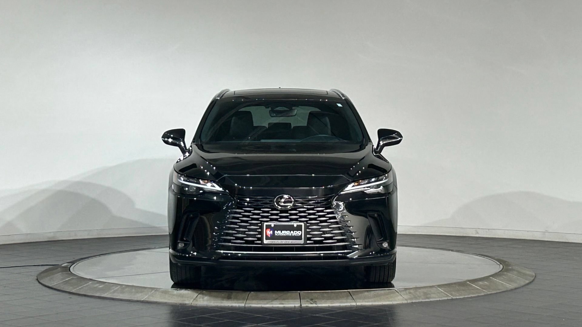 Used 2023 Lexus RX 350 Premium w/ Cold Area Package AWD/4WD video 3