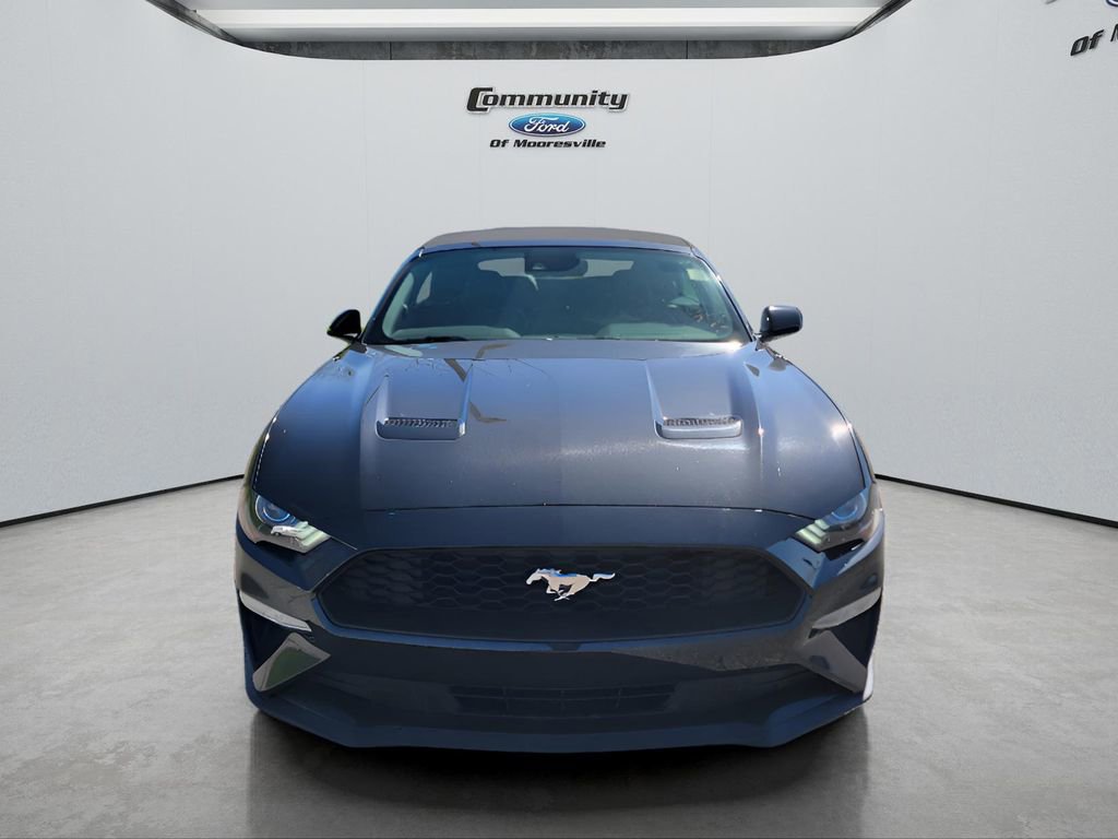 Used 2023 Ford Mustang Premium image 2