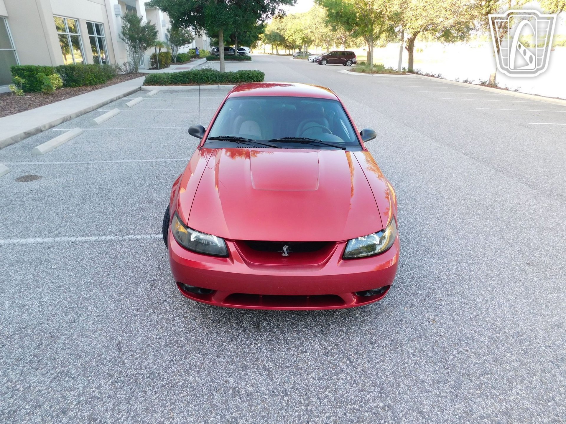 Used 2001 Ford Mustang Cobra image 7