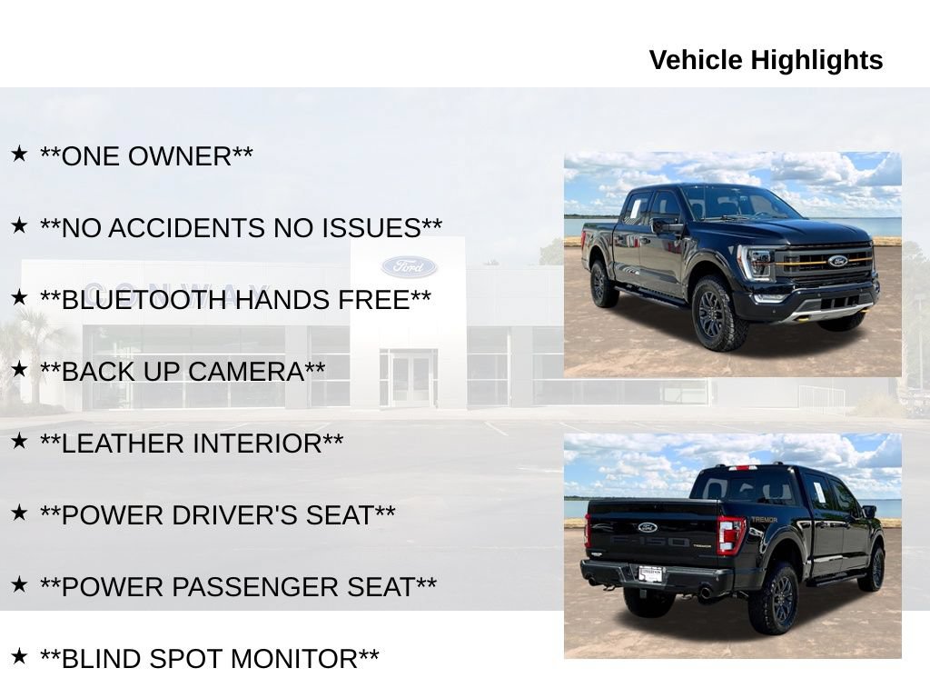 Used 2023 Ford F150 Tremor w/ Equipment Group 402A High AWD/4WD image 6