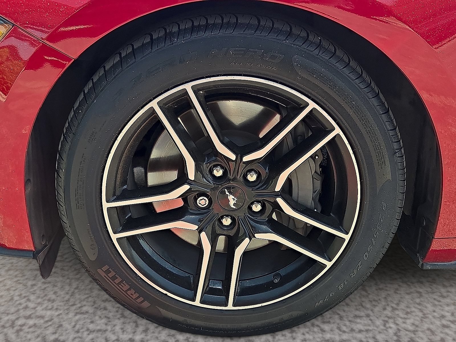 Used 2022 Ford Mustang GT Premium w/ Equipment Group 401A RWD image 9