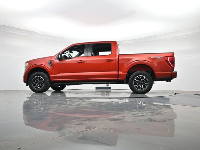 Used 2023 Ford F150 XLT w/ Equipment Group 302A High AWD/4WD image 35