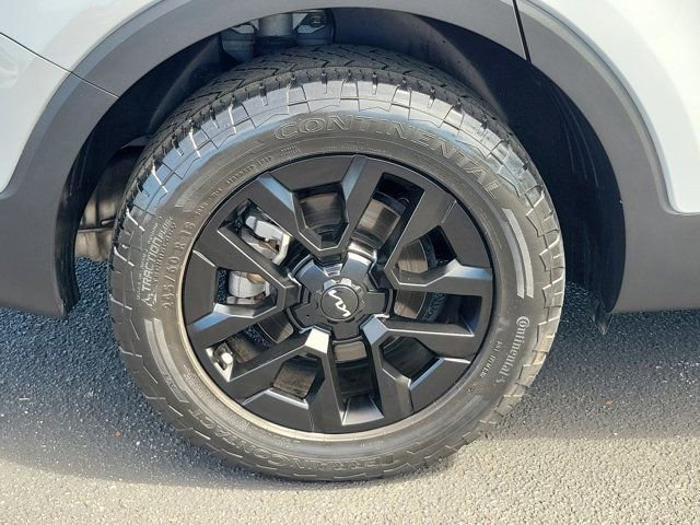 Used 2024 Kia Telluride SX Prestige X-Pro AWD/4WD image 38
