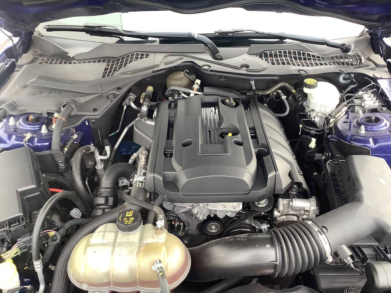 Used 2016 Ford Mustang Premium image 9