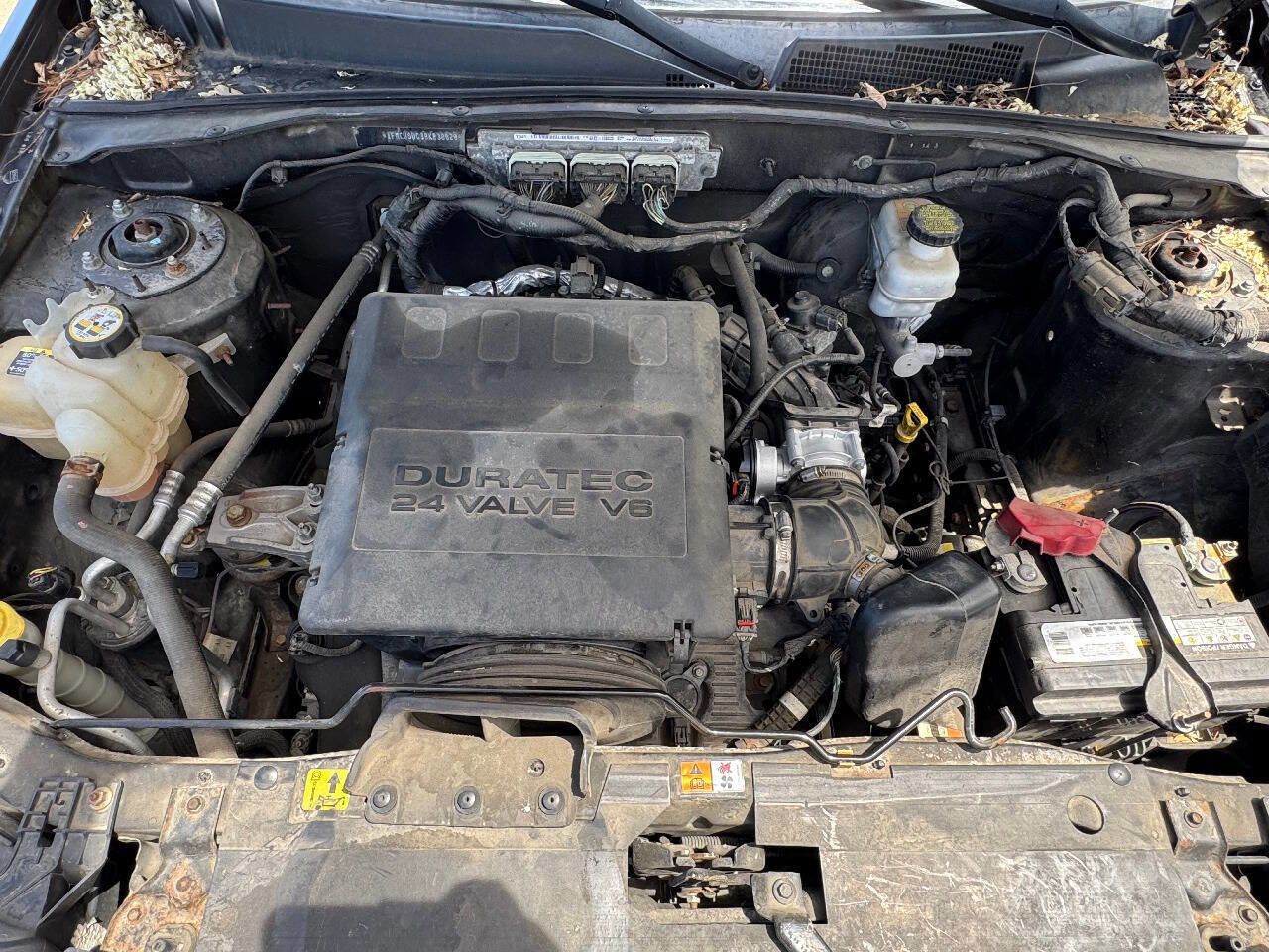 Used 2011 Ford Escape XLT image 20