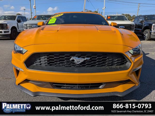 Used 2019 Ford Mustang EcoBoost w/ Equipment Group 101A image 9