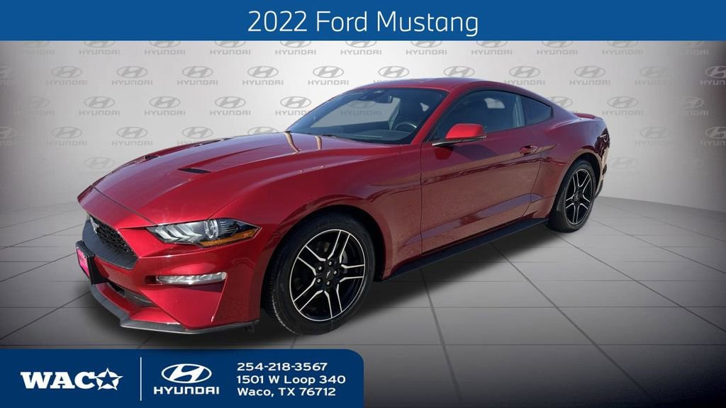 Used 2022 Ford Mustang Premium w/ Equipment Group 201A