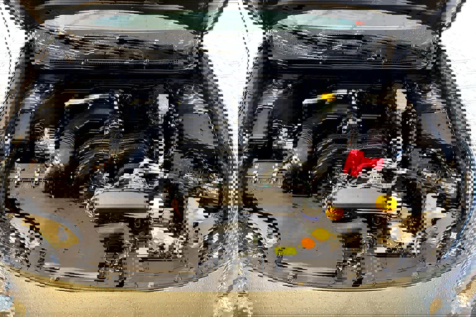 Used 2025 Subaru Outback Premium image 30