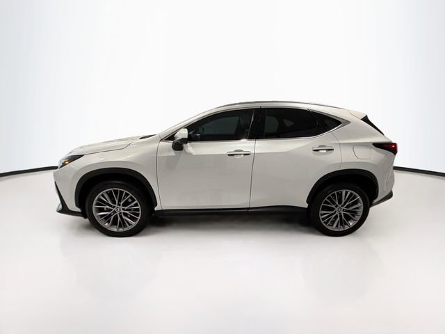 Used 2022 Lexus NX 350h AWD w/ Vision Package image 4