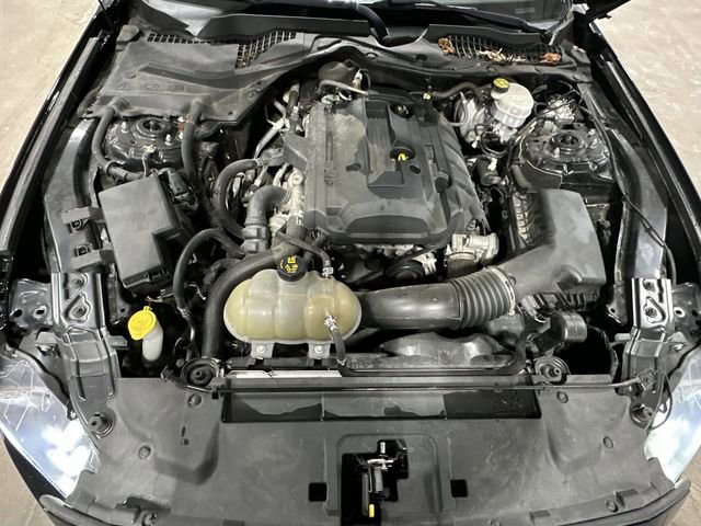 Used 2019 Ford Mustang EcoBoost w/ Black Accent Package image 21