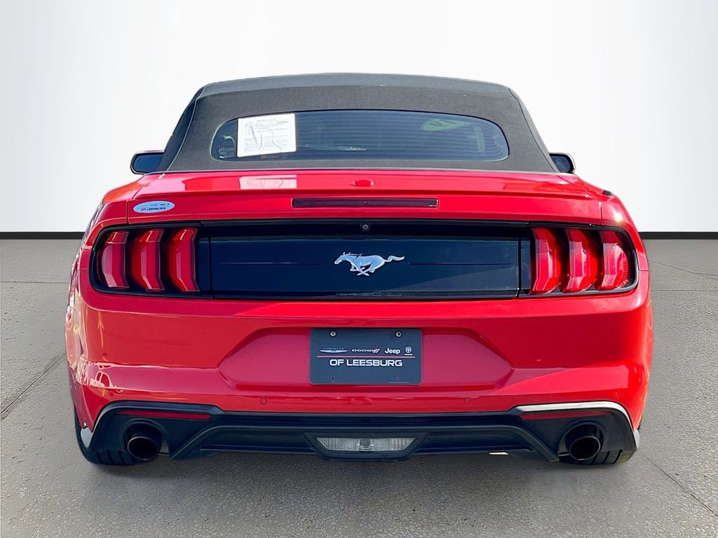 Used 2019 Ford Mustang Premium w/ Equipment Group 201A RWD image 6
