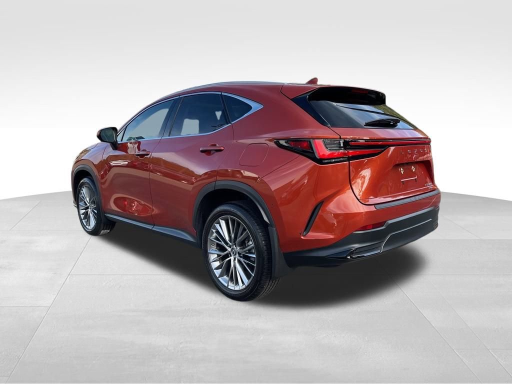 Used 2023 Lexus NX 350 AWD w/ Luxury Package image 7