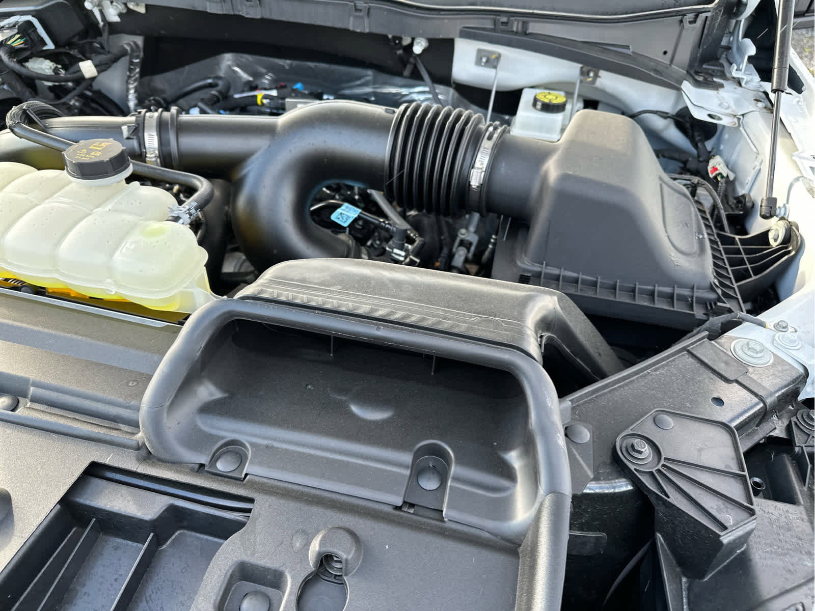 Used 2025 Ford F150 STX w/ Equipment Group 200A image 16