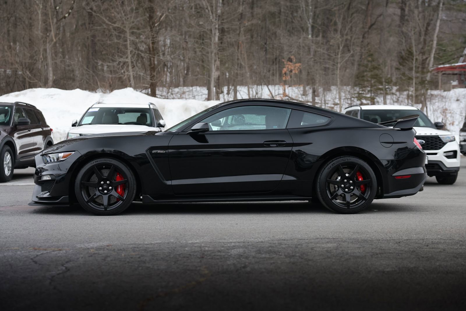 Used 2017 Ford Mustang Shelby GT350R w/ GT350R Equipment Group 920A image 6