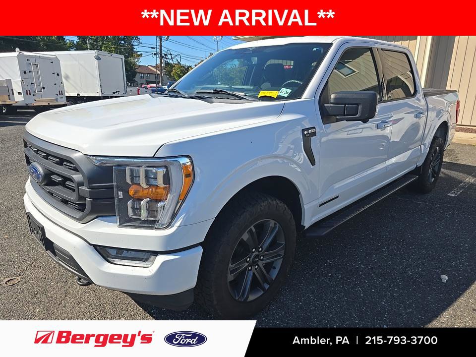 Used 2023 Ford F150 XLT w/ Equipment Group 302A High