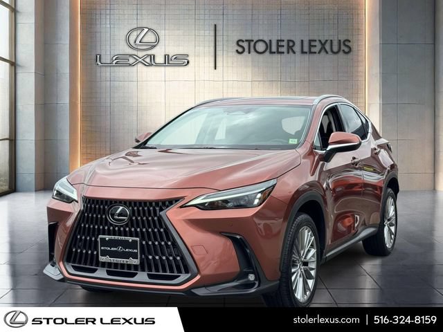 Certified 2025 Lexus NX 350 AWD w/ Cold Area Package image 3