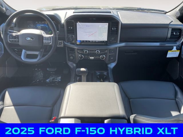 New 2025 Ford F150 XLT w/ Equipment Group 303A High image 10