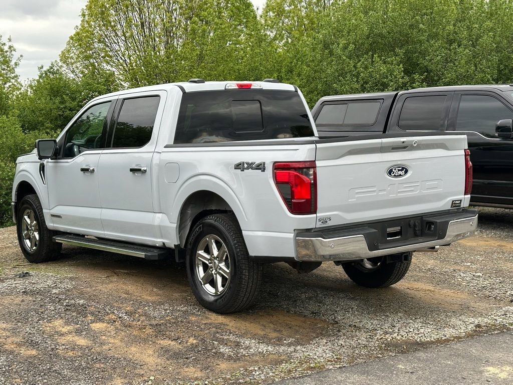 New 2025 Ford F150 XLT w/ Equipment Group 302A MID AWD/4WD image 27