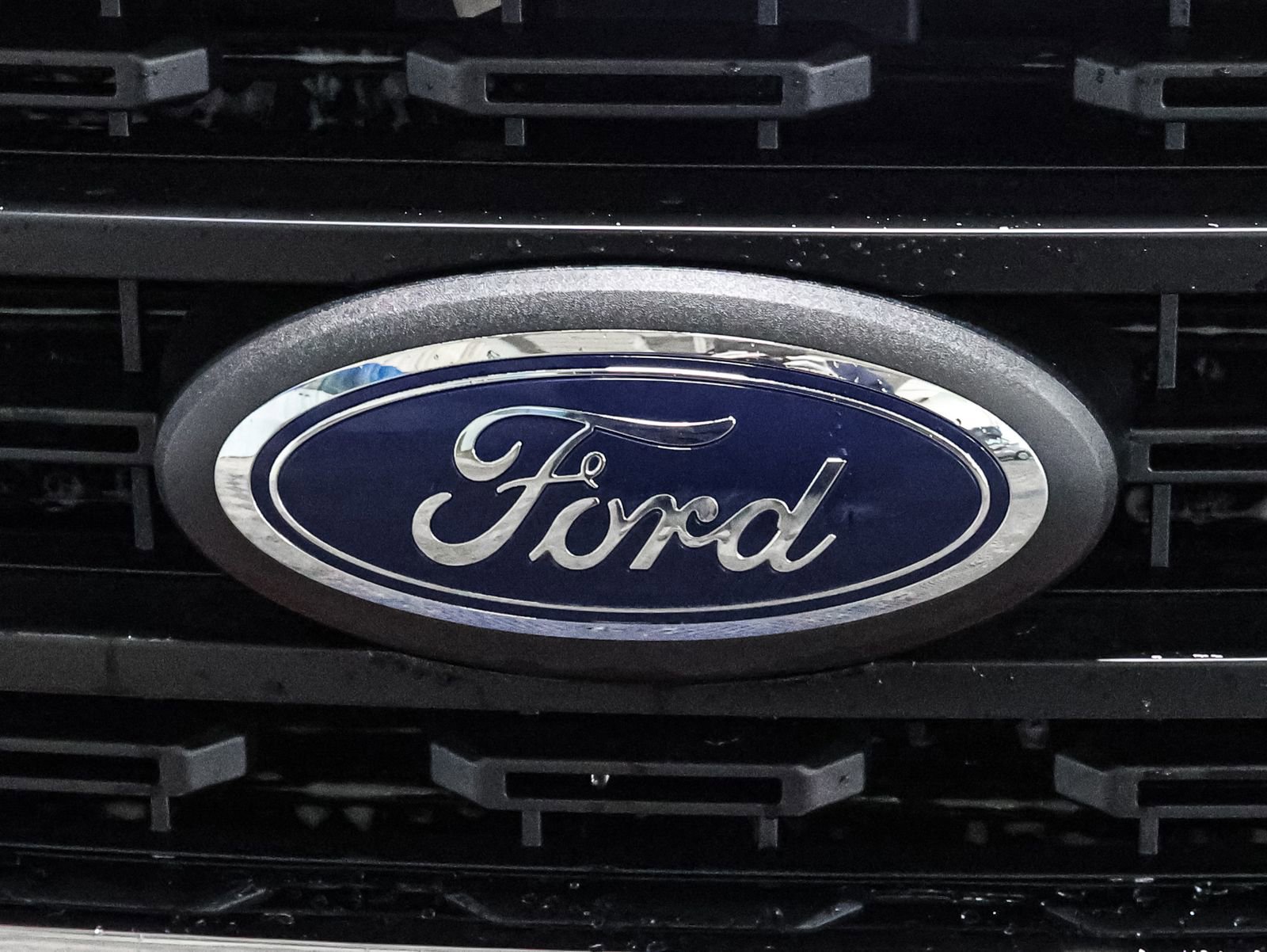 Certified 2025 Ford F150 Platinum w/ FX4 Off-Road Package image 13