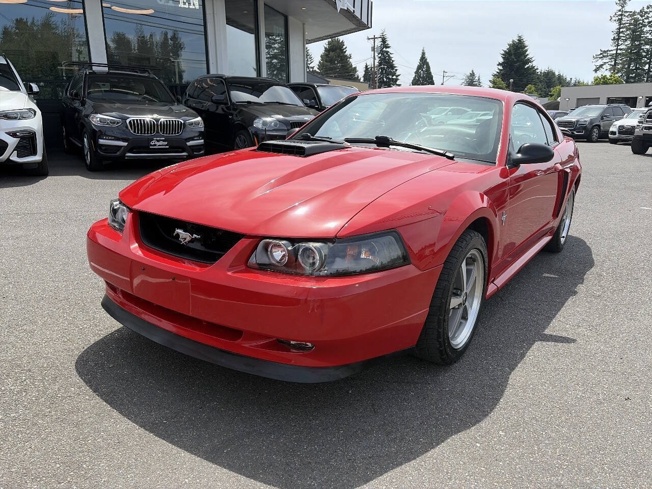 Used 2003 Ford Mustang Mach 1