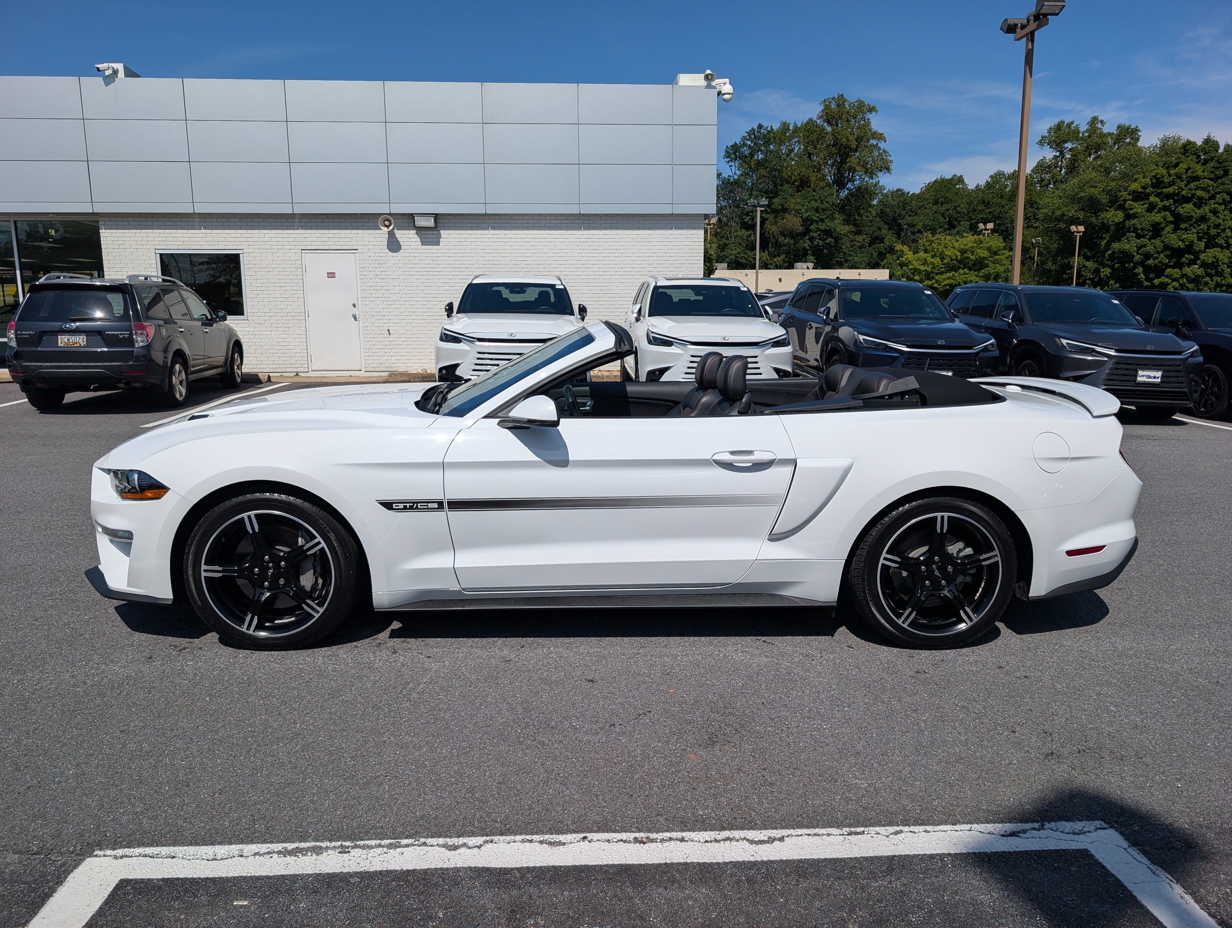 Used 2019 Ford Mustang GT Premium w/ Equipment Group 401A RWD image 6