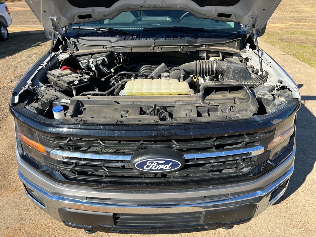 Used 2025 Ford F150 XLT w/ Equipment Group 301A Standard image 19