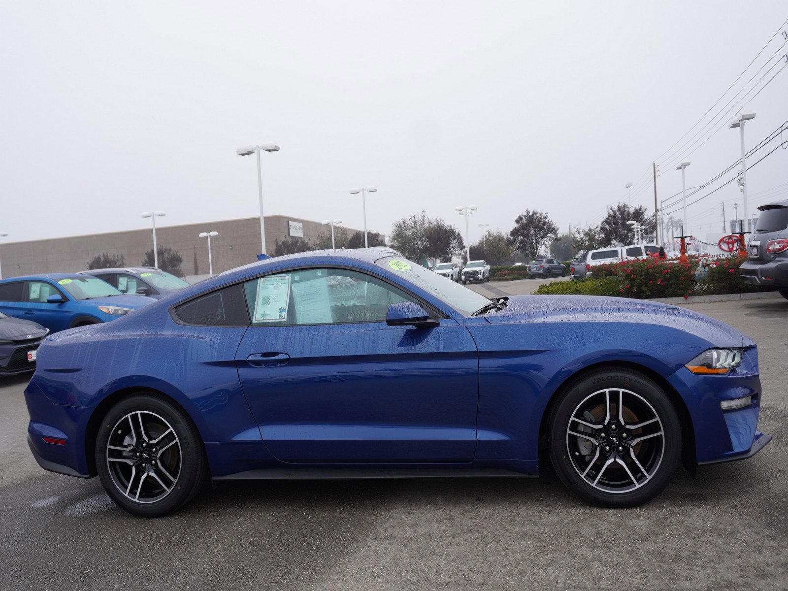 Used 2022 Ford Mustang Premium image 4