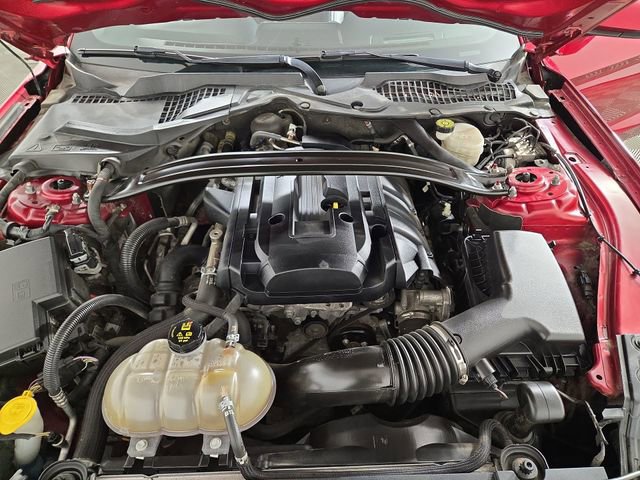 Used 2019 Ford Mustang Premium w/ Ecoboost Performance Package RWD image 31