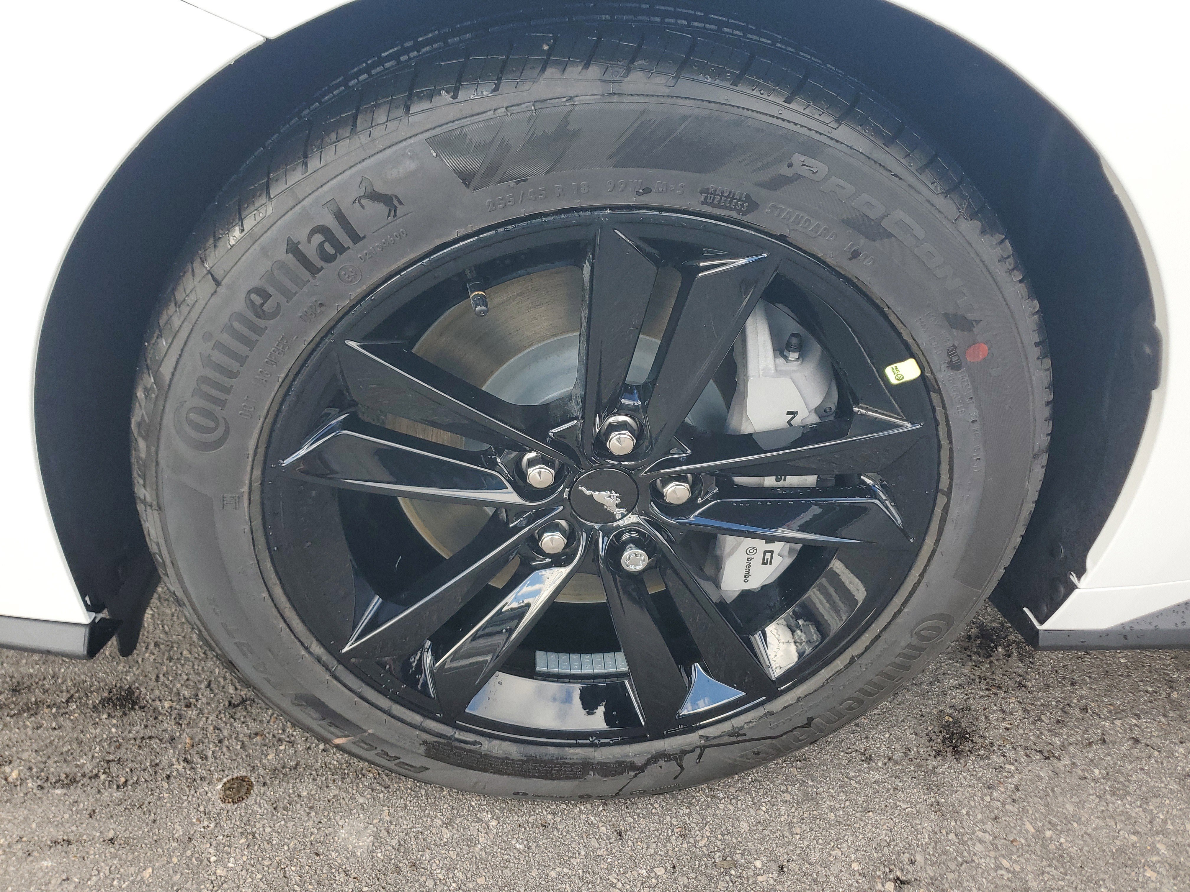 New 2026 Ford Mustang GT RWD image 8