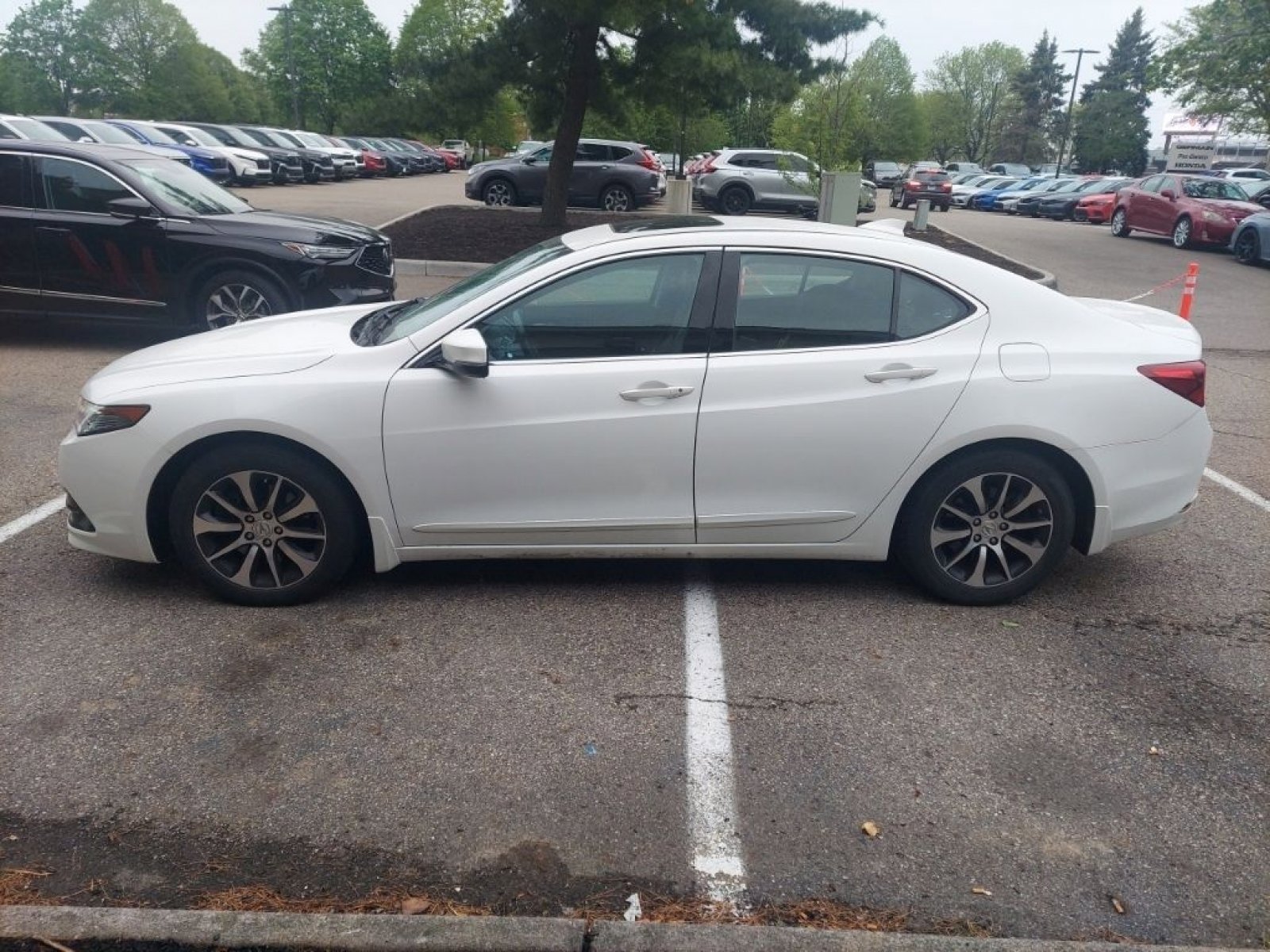 Used 2015 Acura TLX FWD image 4