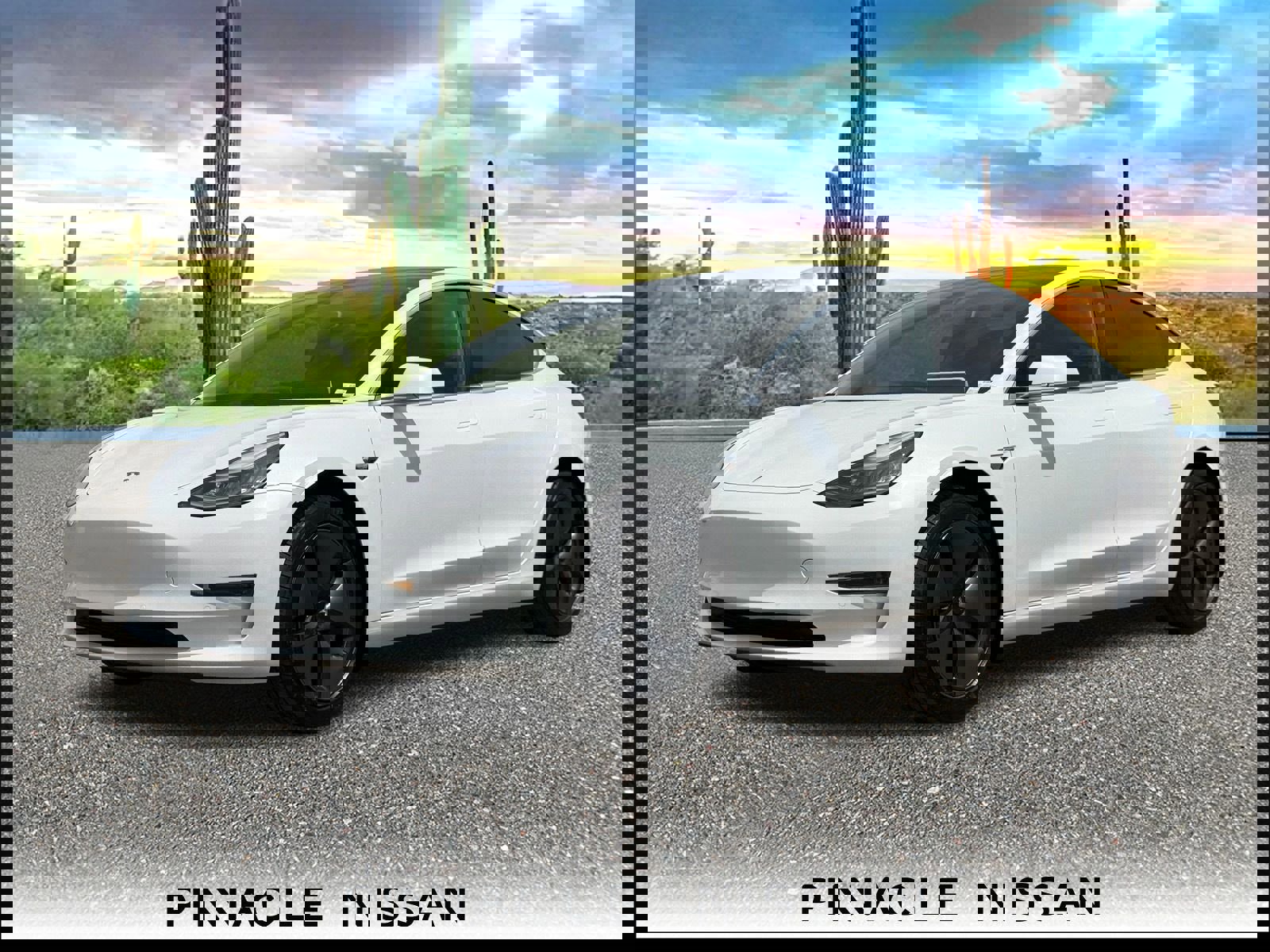 Used 2019 Tesla Model 3 Standard Range