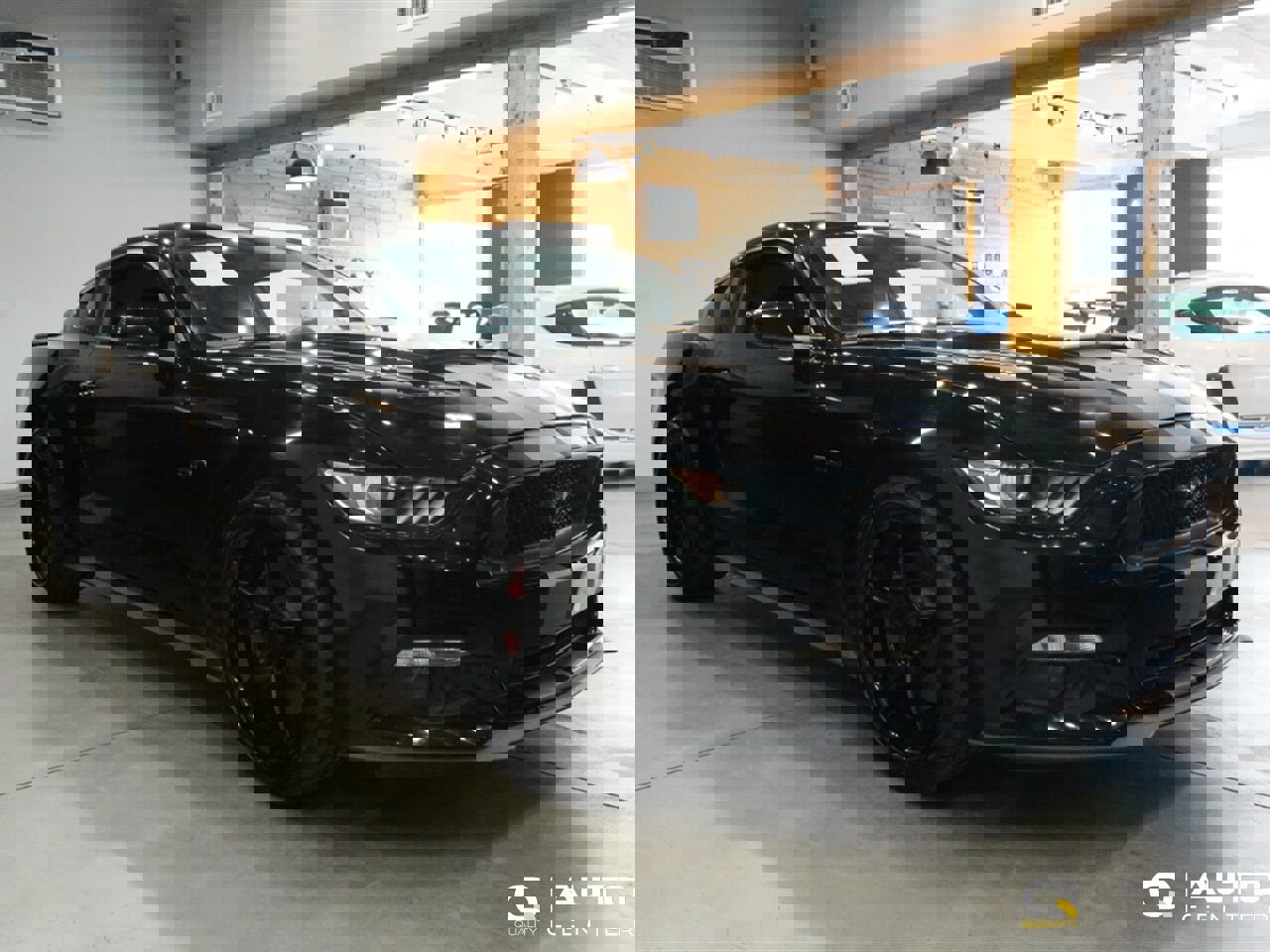 Used 2017 Ford Mustang GT Premium w/ Equipment Group 401A image 3