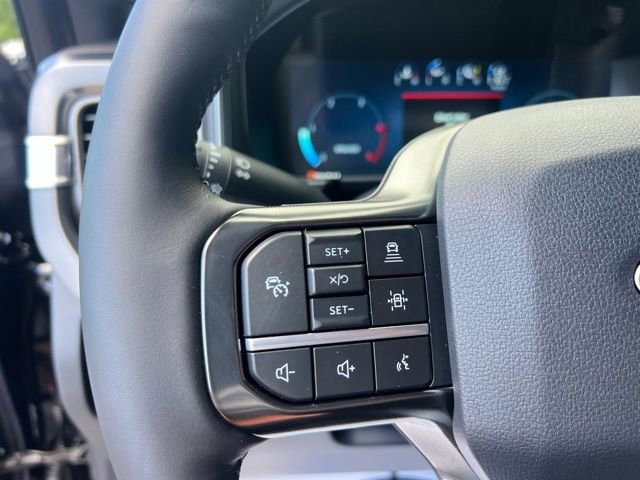 New 2025 Ford F250 Platinum image 14