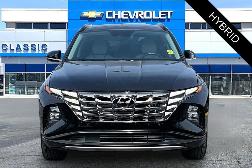 Used 2024 Hyundai Tucson Limited image 2