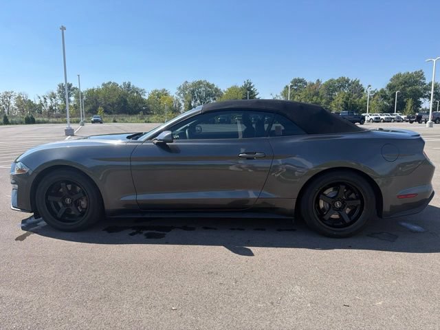 Used 2018 Ford Mustang Premium RWD image 16
