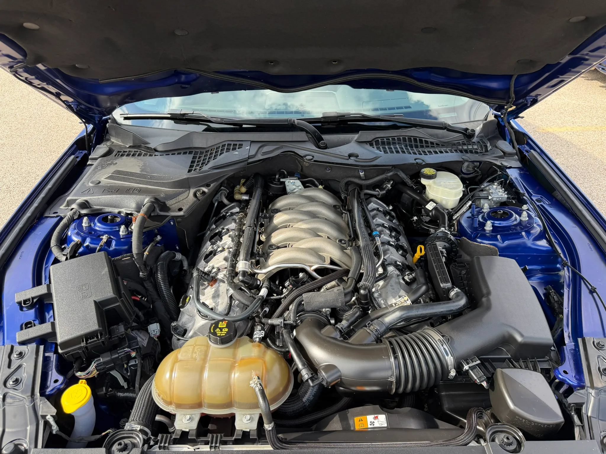 Used 2016 Ford Mustang GT Premium w/ Equipment Group 401A RWD image 35
