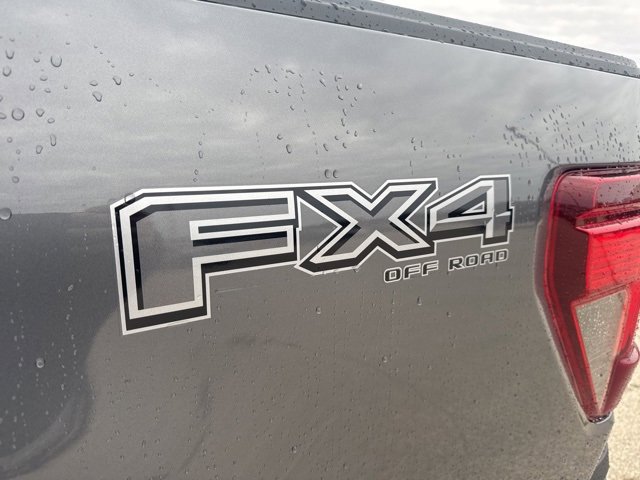 New 2025 Ford F150 XLT w/ Equipment Group 302A MID image 22