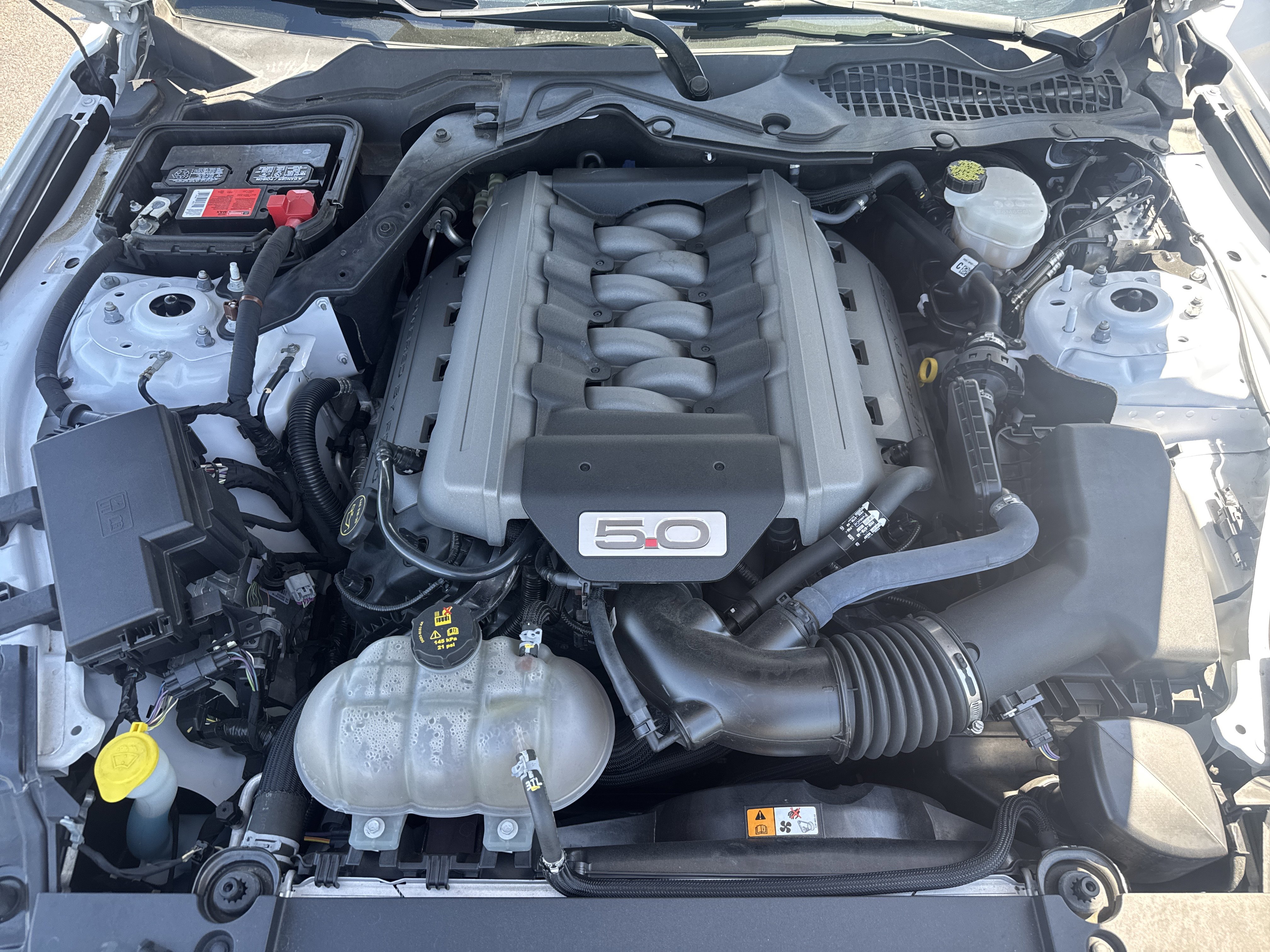 Used 2017 Ford Mustang GT Premium w/ Equipment Group 401A RWD image 28