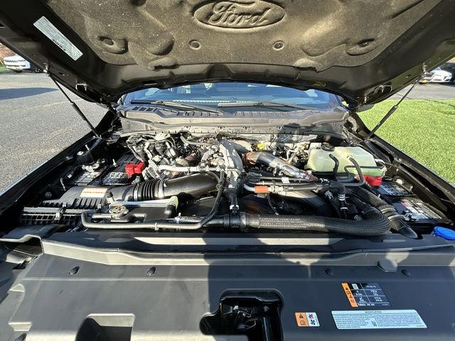 Used 2024 Ford F450 Platinum w/ FX4 Off-Road Package image 14