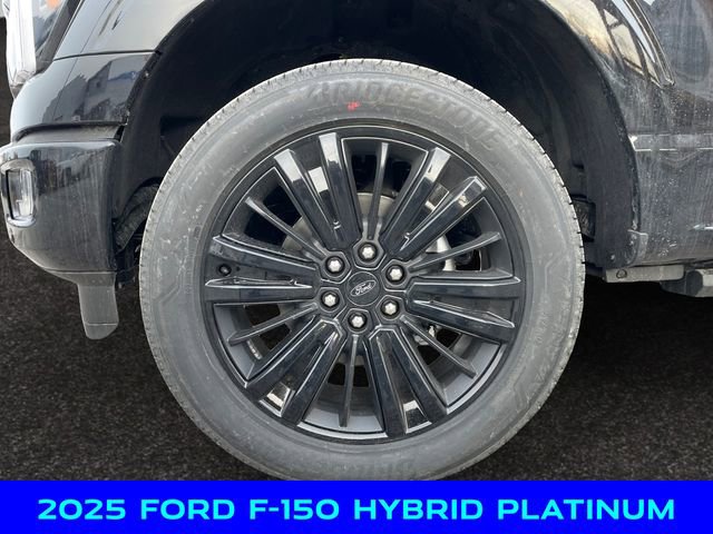 New 2025 Ford F150 Platinum w/ Equipment Group 702A High image 14