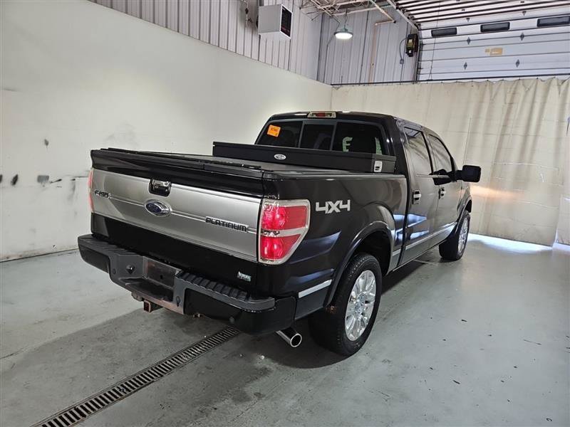 Used 2010 Ford F150 Platinum AWD/4WD image 4