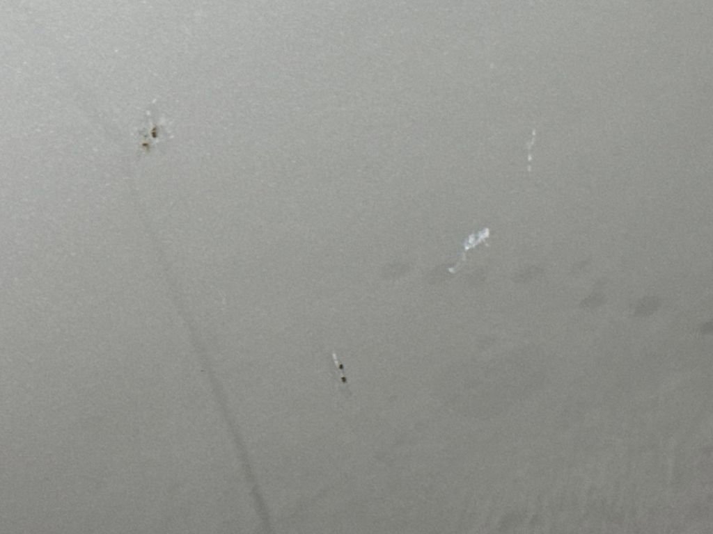 Used 2010 INFINITI G37 Sedan image 30