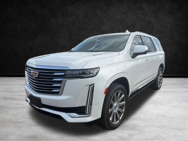 Used 2023 Cadillac Escalade Premium Luxury Platinum image 10